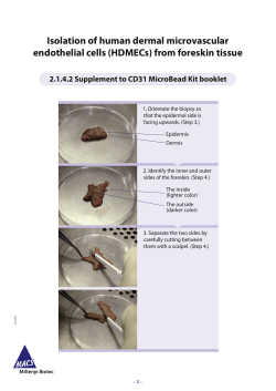 Isolation of human dermal microvascular