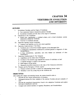 chapter 34 - Scranton Prep Biology