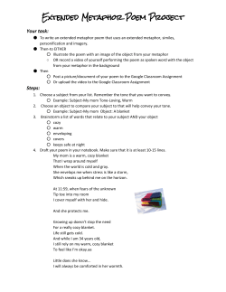 Extended Metaphor Poem Project