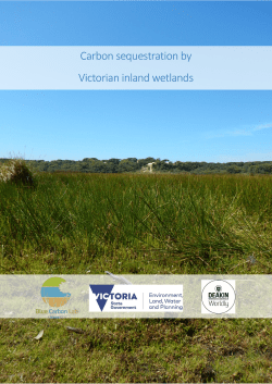 Carbon sequestration by Victorian inland wetlands
