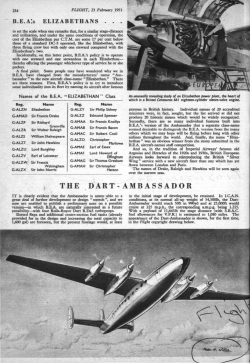 the dart-ambassador