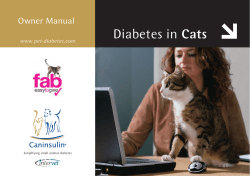 Owner Manual Diabetes In Cats - MSD Animal Health New Zealand