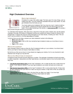 High Cholesterol Overview