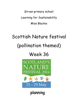 Scottish Nature festival (pollination themed) Week 36