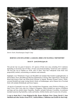 PDF Report - CloudBirders