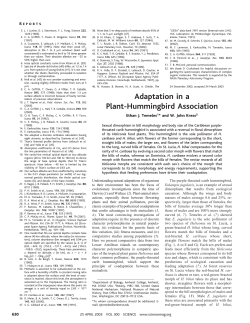 Adaptation in a Plant-Hummingbird Association (PDF
