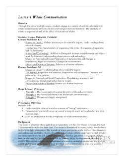 Lesson 4 Whale Communication