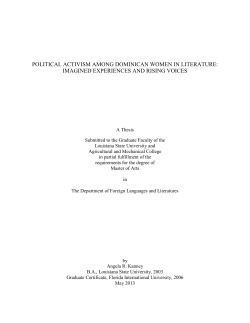political activism among dominican women