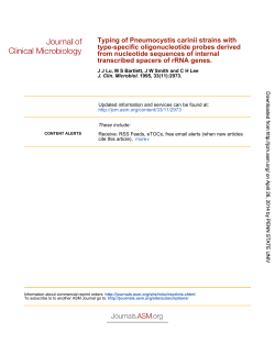 transcribed spacers of rRNA genes. from nucleotide