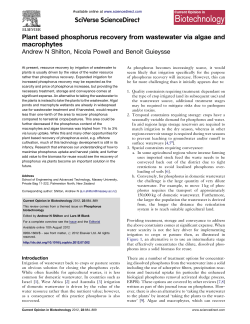 Plant based phosphorus recovery from wastewater via algae and