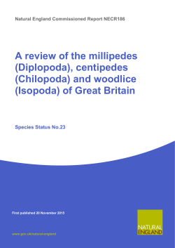 (Diplopoda), centipedes (Chilopoda) and woodlice