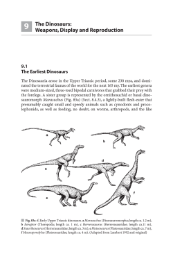Ecology and Behaviour of Mesozoic Reptiles