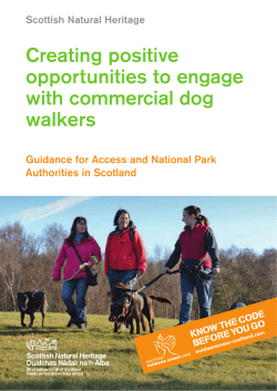 Summary guidance on creating positive opportunities to engage