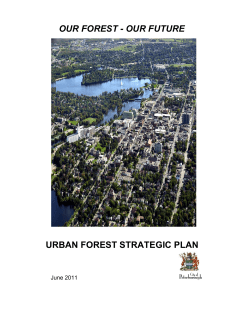 Urban Forest Strategic Plan