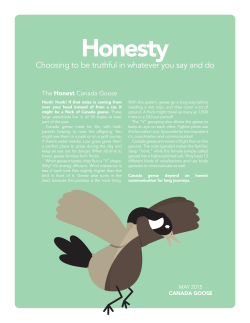 Honesty - Volusia County Schools