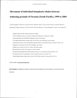 Neat Document-Movement of individual humpback