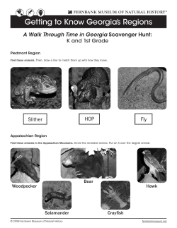 Getting to Know Georgia`s Regions