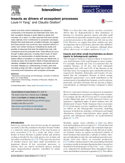 Insects as drivers of ecosystem processes