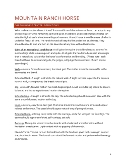 mountain ranch horse - Oregon Horse Center