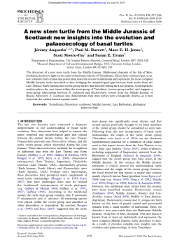 new insights into the evolution and palaeoecology of basal turtles
