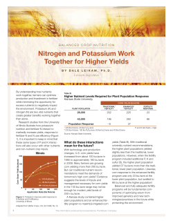Nitrogen and Potassium Work Together for Higher Yields