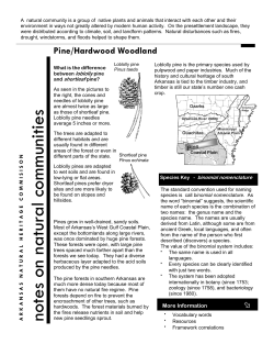 Pine - Notes on Natural Communities