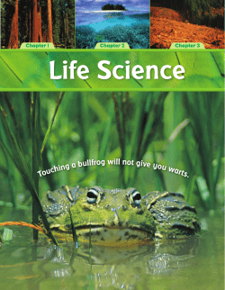 Chapter 1: Adaptations in Land Environments