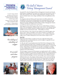 The Gulf of Mexico Fishery Management Council