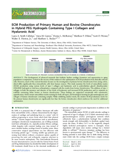 ECM Production of Primary Human