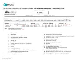 Explanation of Payment - Nursing Facility Daily Unit Rate and/or