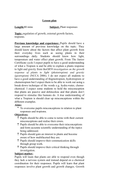 Plant Growth lesson plan