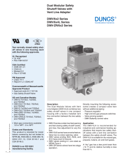 Dual Modular Safety Shutoff Valves with Vent Line Adapter DMV/6x2