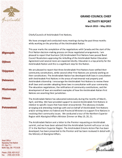 GRAND COUNCIL CHIEF ACTIVITY REPORT