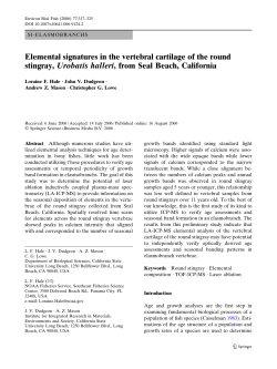 Elemental signatures in the vertebral cartilage of the round stingray