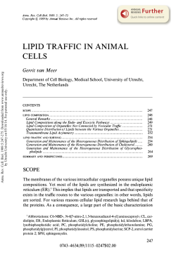 Lipid Traffic in Animal Cells - Utrecht University Repository