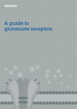A guide to glutamate receptors
