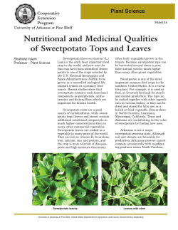 Nutritional and Medicinal Qualities of Sweetpotato Tops