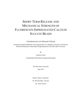 short term release and mechanical strength of fluorescein