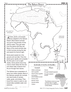 The Sahara Desert
