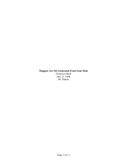 Example of a Lab Report