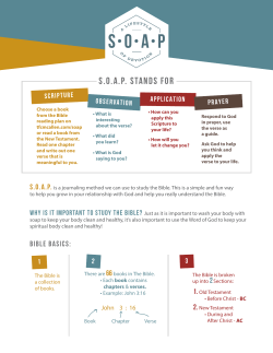 SOAP Kidz Guidelines