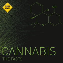 Cannabis : The Facts