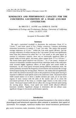 kinematics and performance capacity for the concertina locomotion