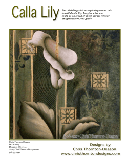 Faux finishing adds a simple elegance to this beautiful calla lily