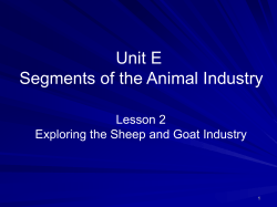 Animal Science and the Industry