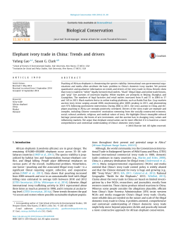 Elephant ivory trade in China: Trends and drivers