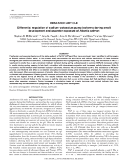 Differential regulation of sodium&ndash;potassium pump isoforms during