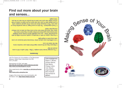 Find out more about your brain and senses