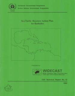 Sea Turtle Recovery Action Plan for Barbados