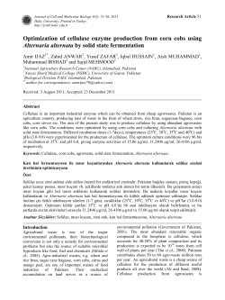 Optimization of cellulase enzyme production from corn cobs using